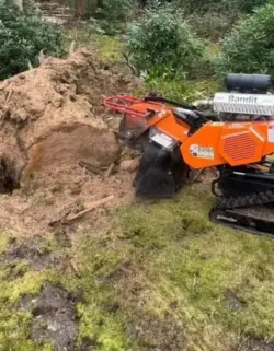 stump removal