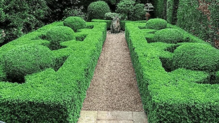 Hedge Work