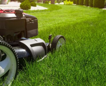 lawn-mower-on-green-grass-in-suburban-yard-2026-03-18-04-26-30-utc (1)
