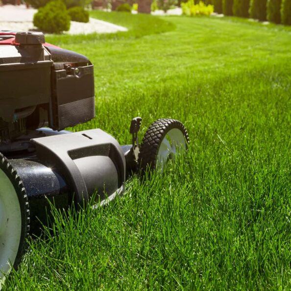 lawn-mower-on-green-grass-in-suburban-yard-2026-03-18-04-26-30-utc (1)